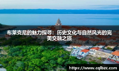 彩神Vi首页